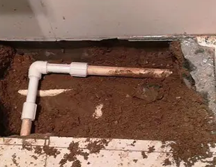 原阳测漏水哪家好