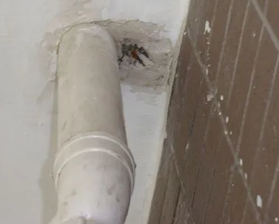 原阳漏水检测哪家好